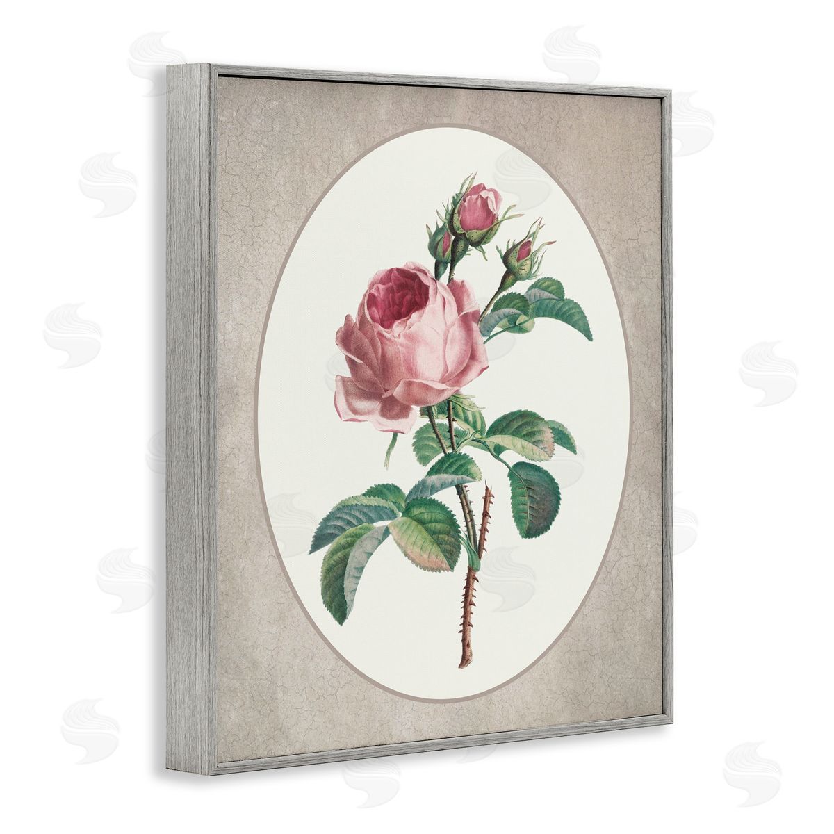 Lettered and Lined Vintage Rose within Oval Gray Framed Giclee Print Wall Art