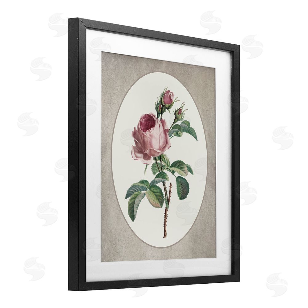 Lettered and Lined Vintage Rose within Oval Black Framed Print Under Glass Wall Art