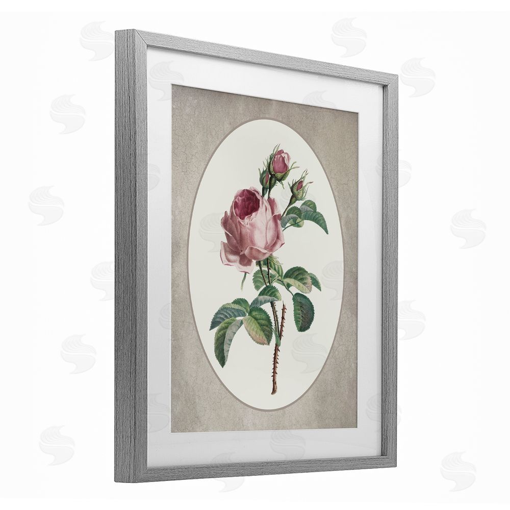 Lettered and Lined Vintage Rose within Oval Gray Framed Print Under Glass Wall Art