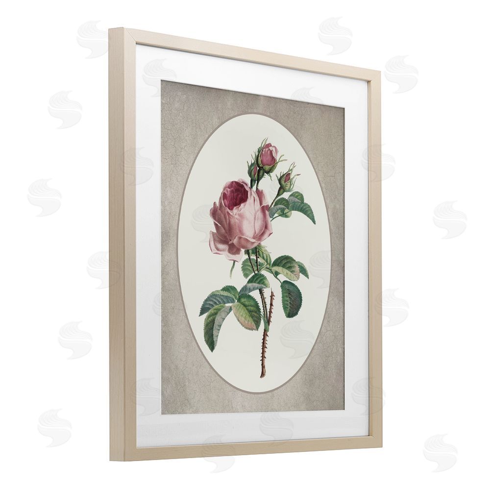 Lettered and Lined Vintage Rose within Oval Brown Framed Print Under Glass Wall Art