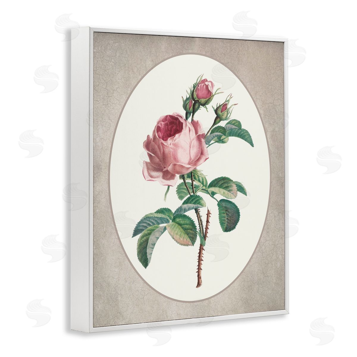 Lettered and Lined Vintage Rose within Oval White Framed Giclee Print Wall Art