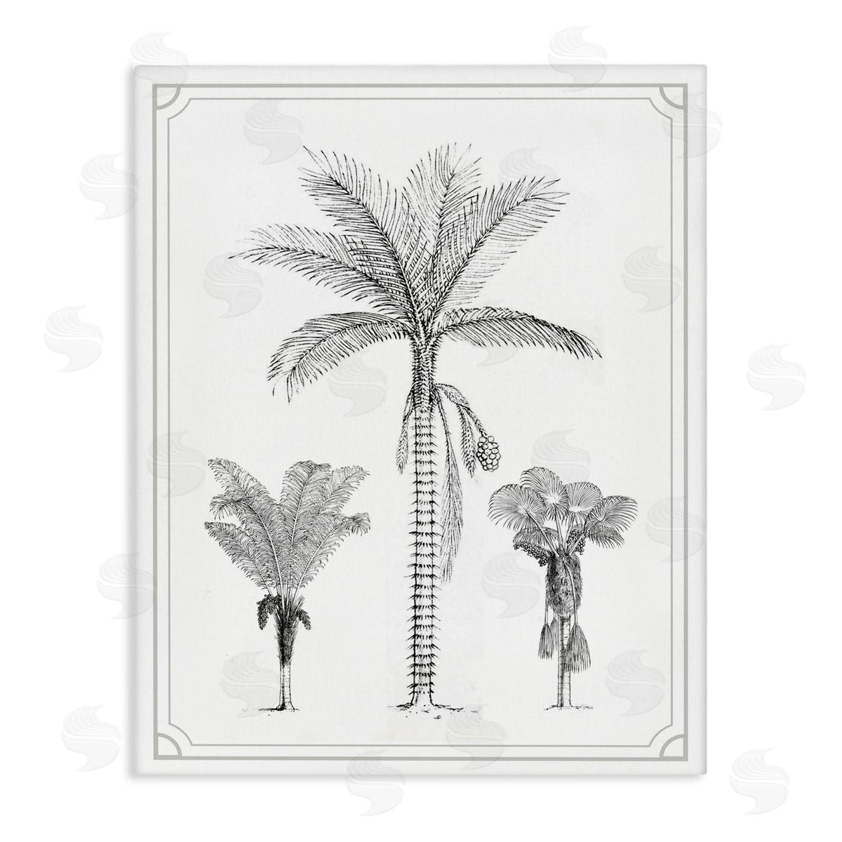 Lettered and Lined Palm Tree Trio Sketches Stretched Canvas Wall Art Print