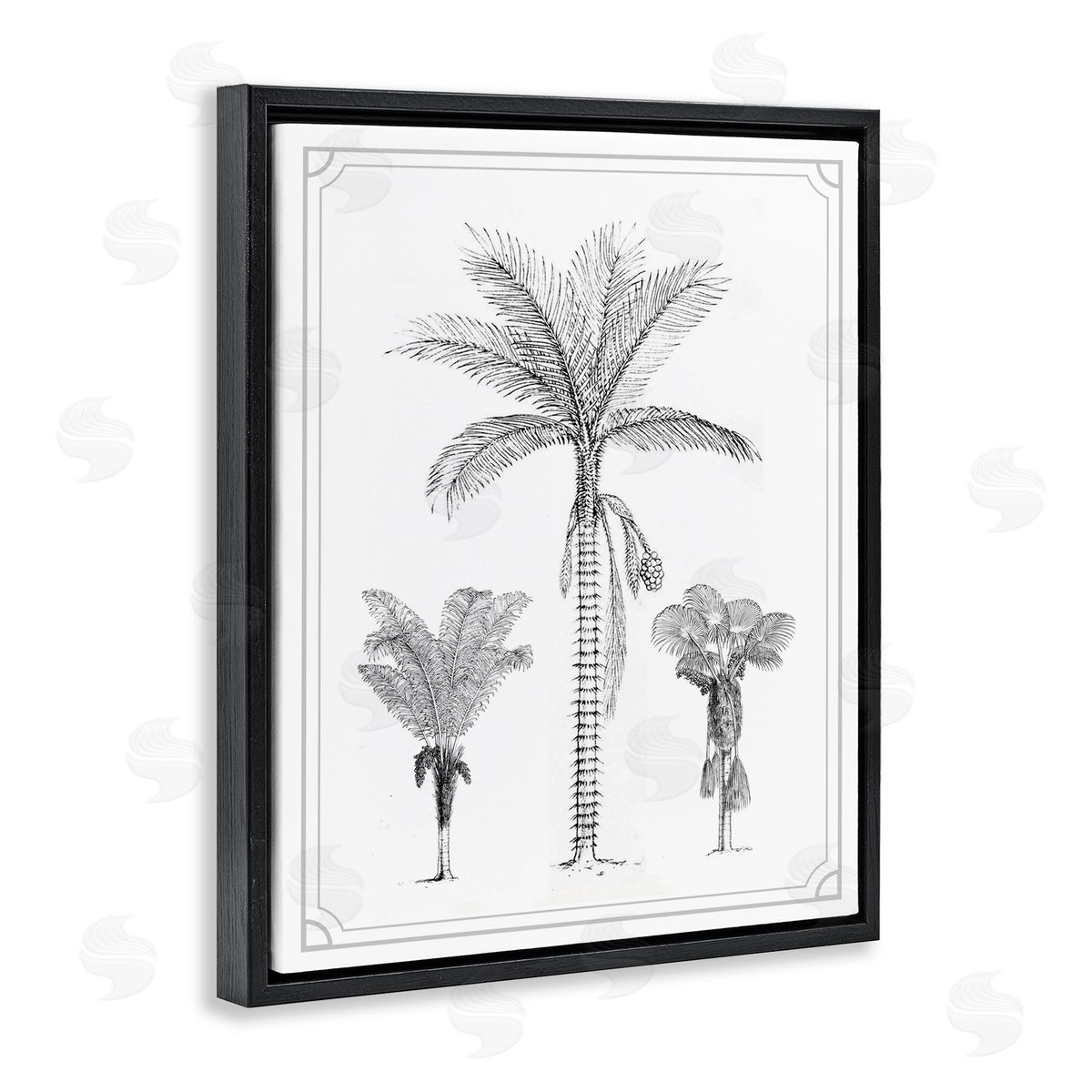 Lettered and Lined Palm Tree Trio Sketches Black Floating Frame Canvas Wall Art Print