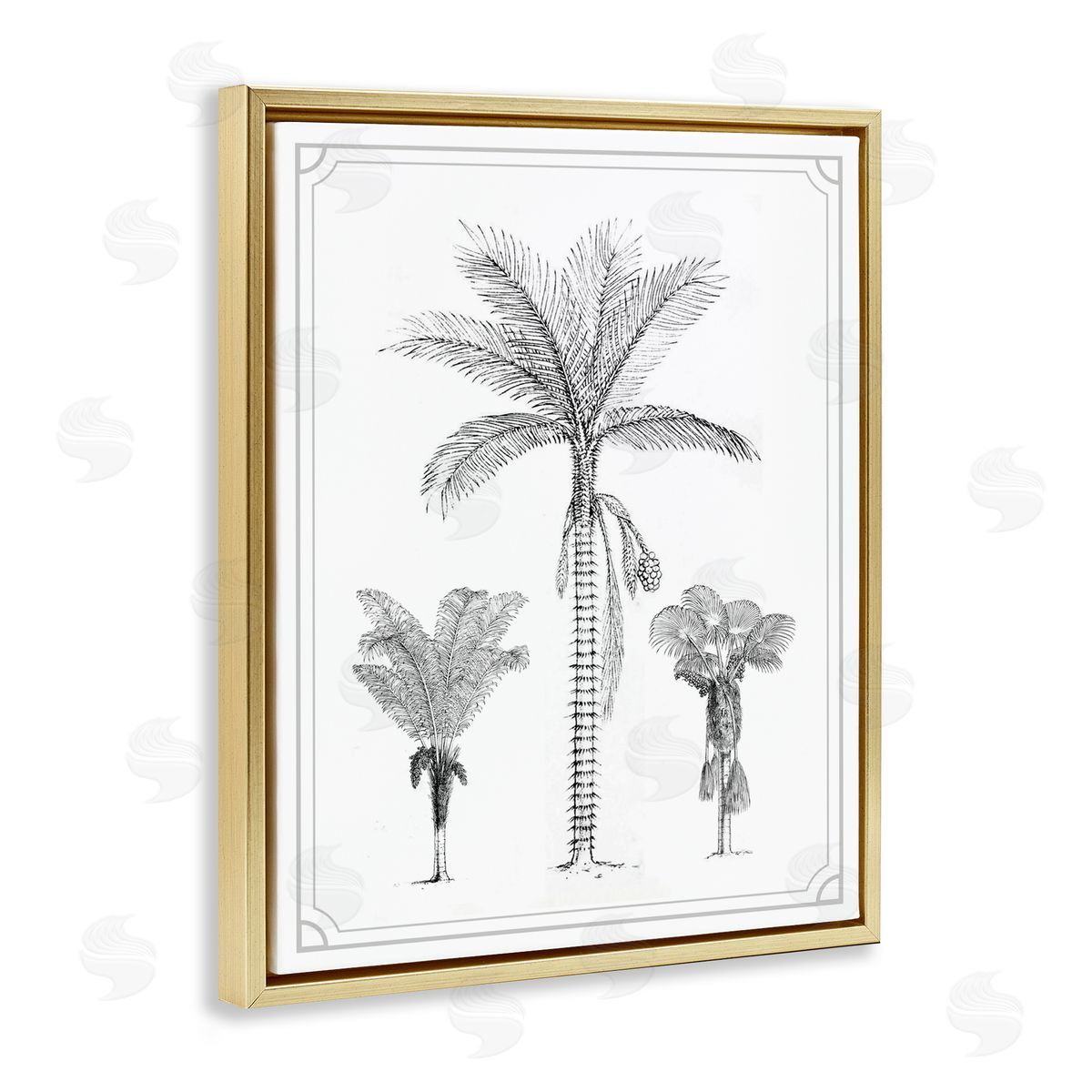 Lettered and Lined Palm Tree Trio Sketches Gold Floating Frame Canvas Wall Art Print