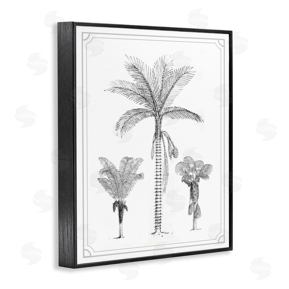 Lettered and Lined Palm Tree Trio Sketches Black Framed Giclee Print Wall Art