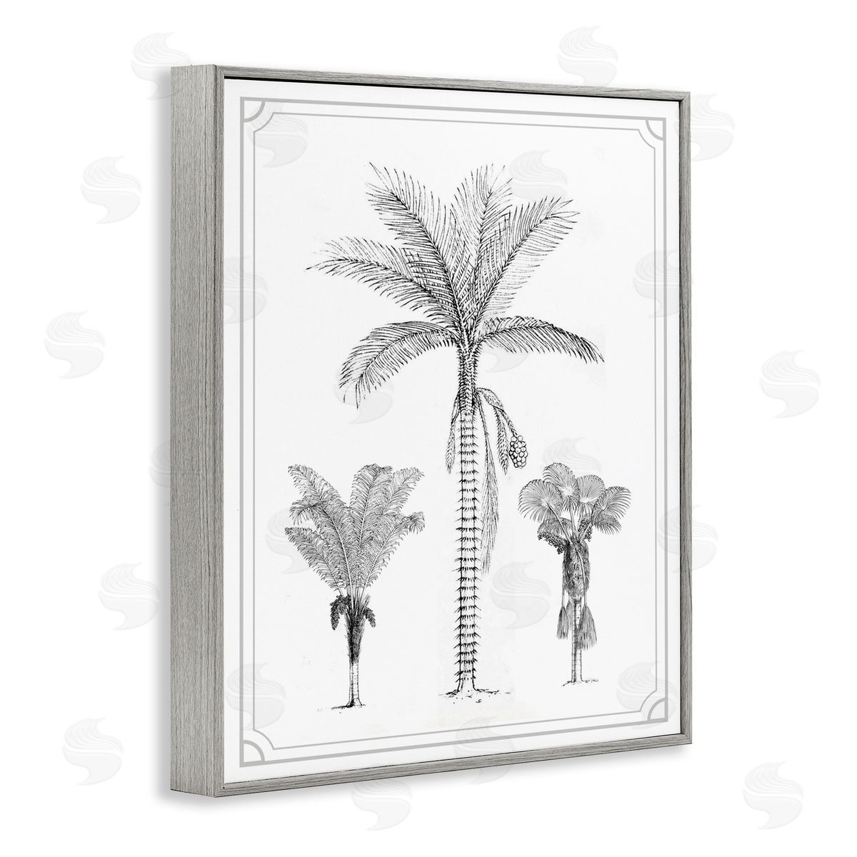 Lettered and Lined Palm Tree Trio Sketches Gray Framed Giclee Print Wall Art