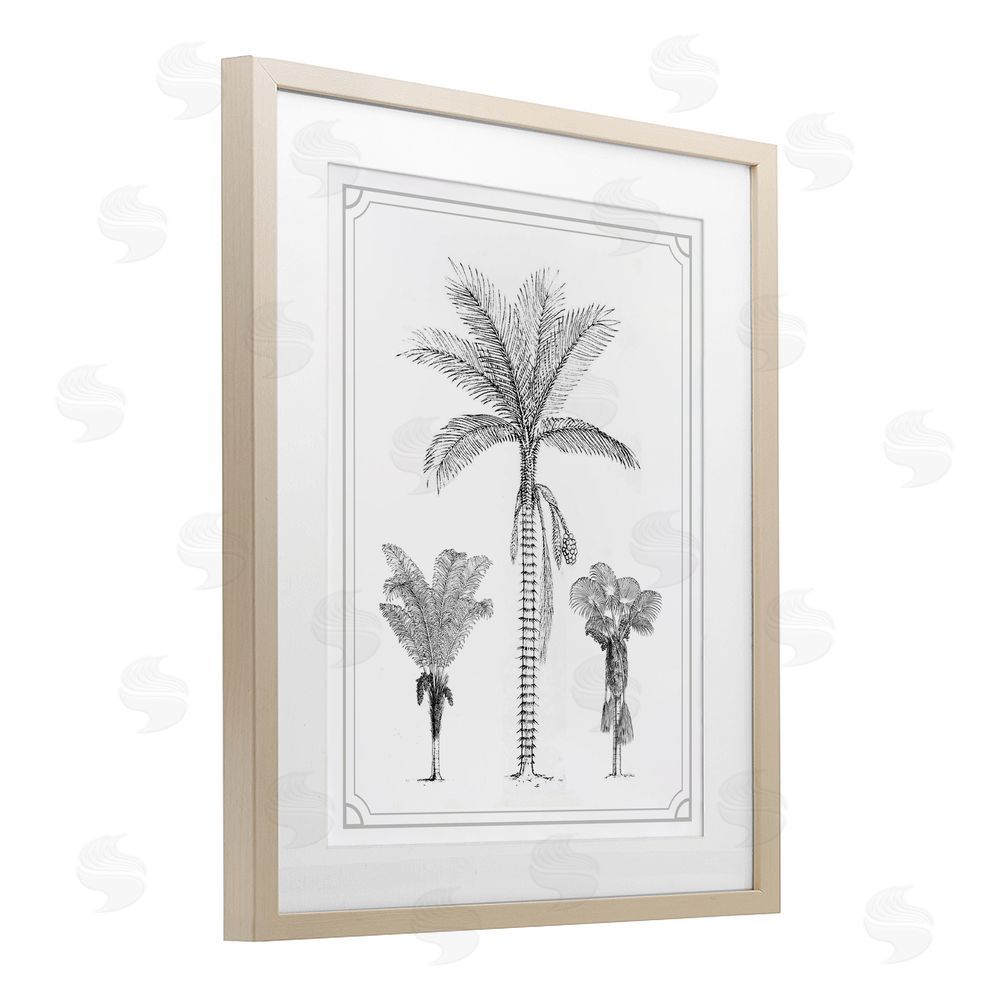 Lettered and Lined Palm Tree Trio Sketches Brown Framed Print Under Glass Wall Art