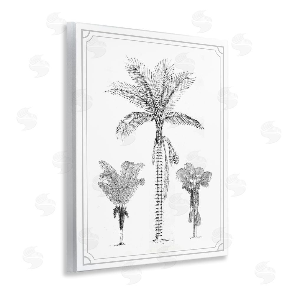 Lettered and Lined Palm Tree Trio Sketches Wooden Wall Plaque Art Print