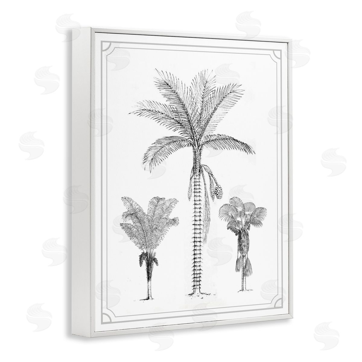Lettered and Lined Palm Tree Trio Sketches White Framed Giclee Print Wall Art