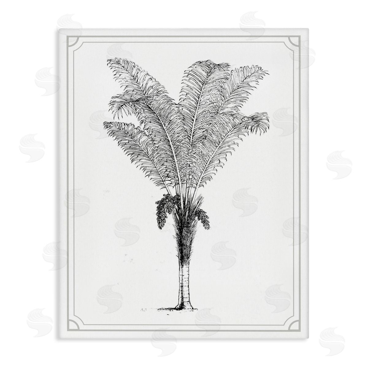 Lettered and Lined Vintage & Minimal Palm Stretched Canvas Wall Art Print