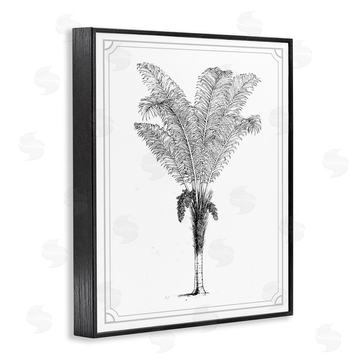 Lettered and Lined Vintage & Minimal Palm Black Framed Giclee Print Wall Art