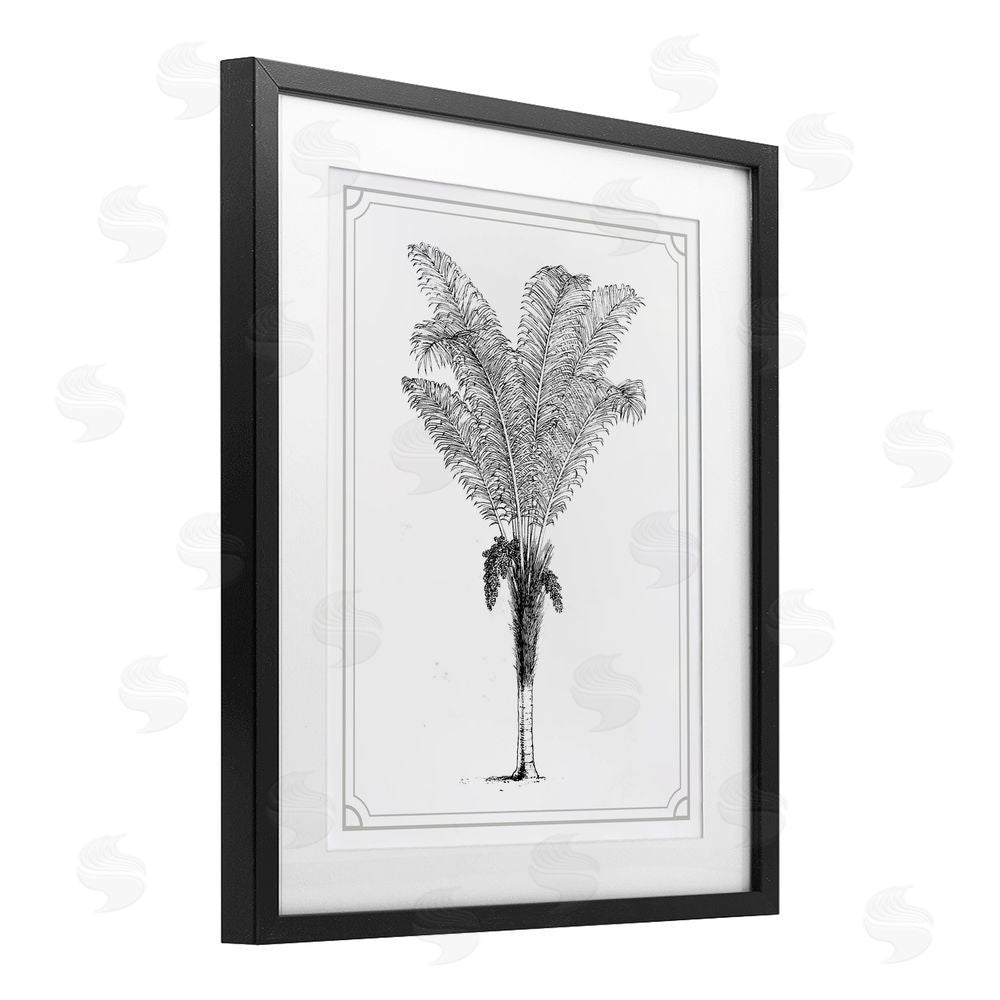 Lettered and Lined Vintage & Minimal Palm Black Framed Print Under Glass Wall Art