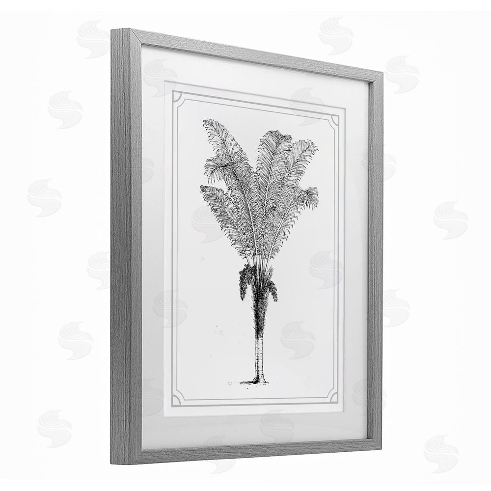 Lettered and Lined Vintage & Minimal Palm Gray Framed Print Under Glass Wall Art