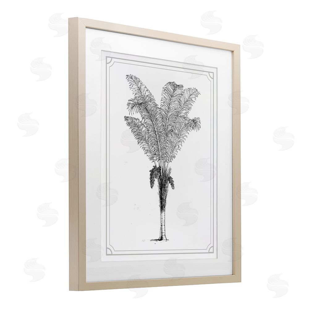 Lettered and Lined Vintage & Minimal Palm Brown Framed Print Under Glass Wall Art