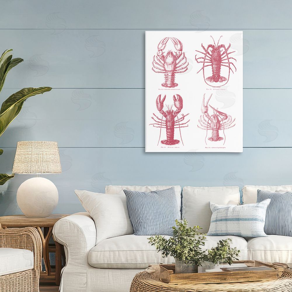 Lettered and Lined Timeless Lobsters Species Stretched Canvas Wall Art Print in Room