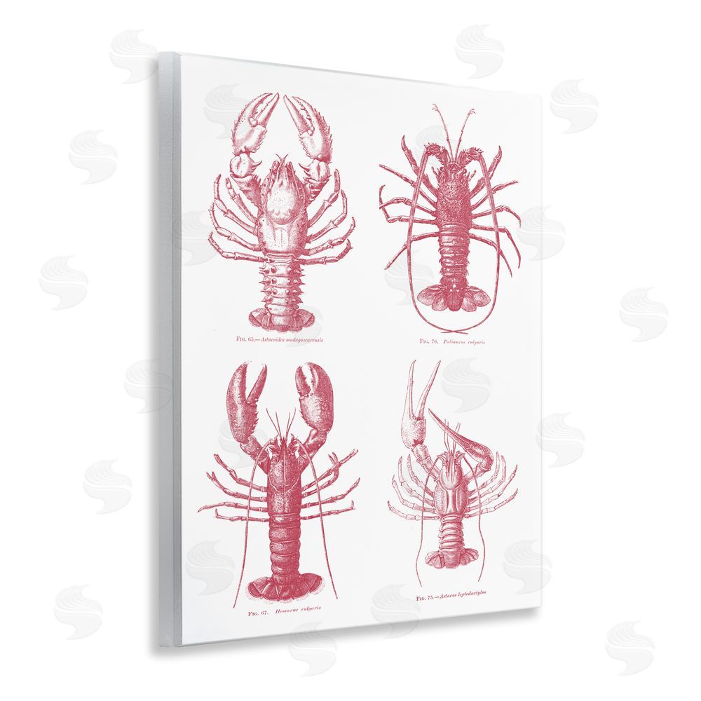Lettered and Lined Timeless Lobsters Species Wooden Wall Plaque Art Print