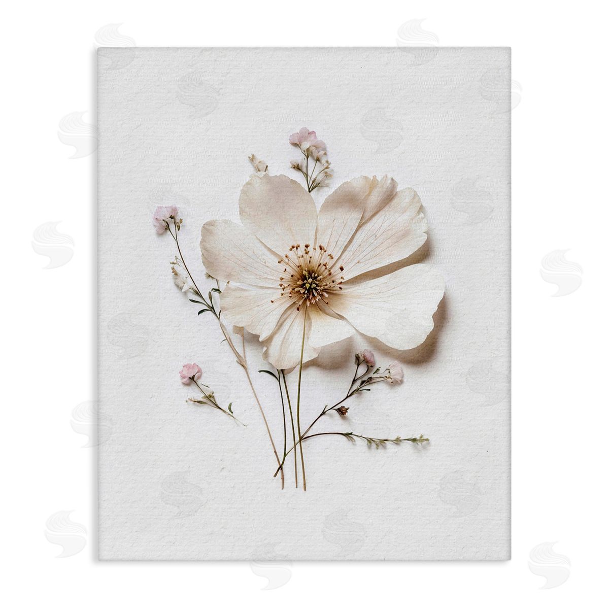 Lettered and Lined Simple Pressed Cottage Flower Stretched Canvas Wall Art Print