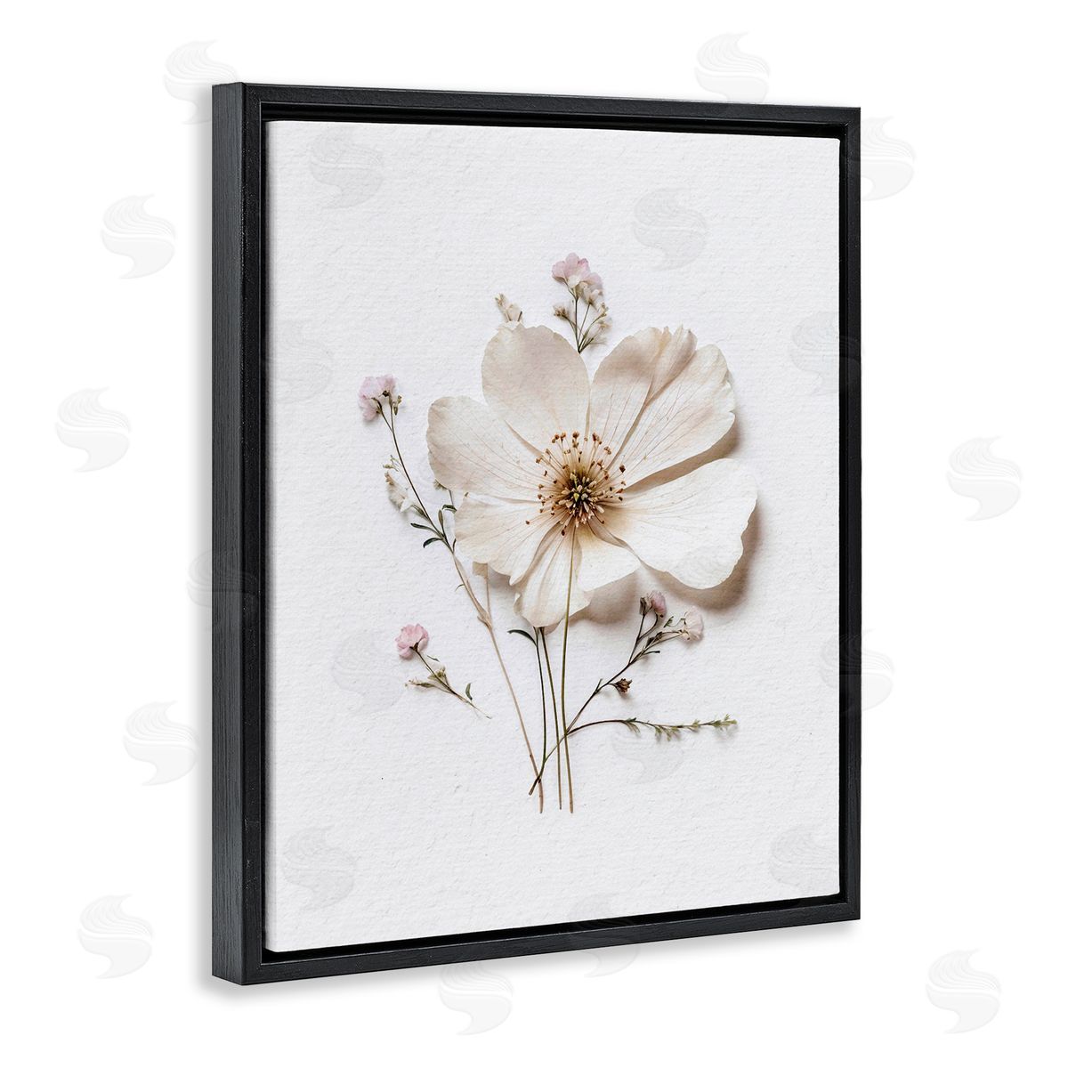 Lettered and Lined Simple Pressed Cottage Flower Black Floating Frame Canvas Wall Art Print