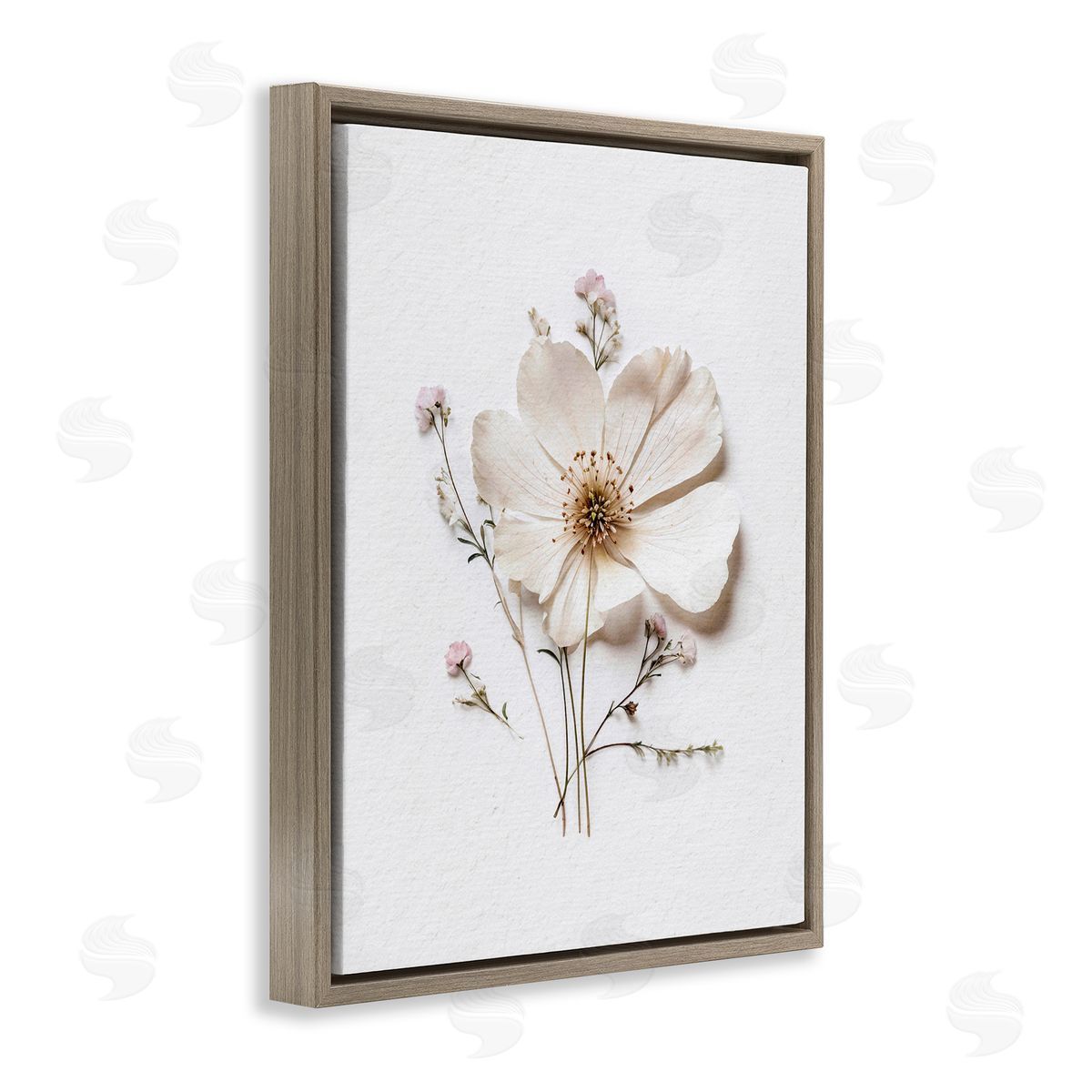 Lettered and Lined Simple Pressed Cottage Flower Brown Floating Frame Canvas Wall Art Print