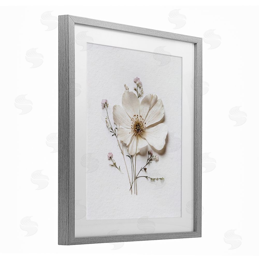 Lettered and Lined Simple Pressed Cottage Flower Gray Framed Print Under Glass Wall Art