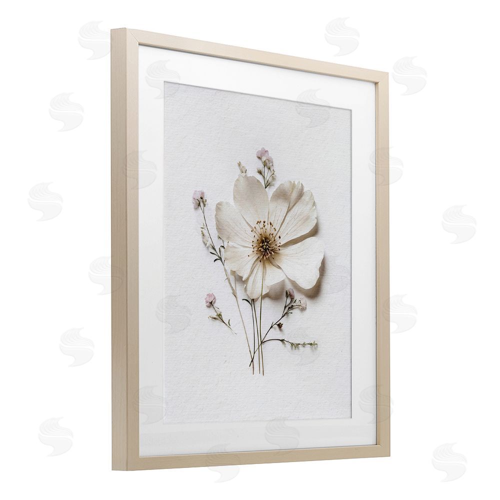Lettered and Lined Simple Pressed Cottage Flower Brown Framed Print Under Glass Wall Art