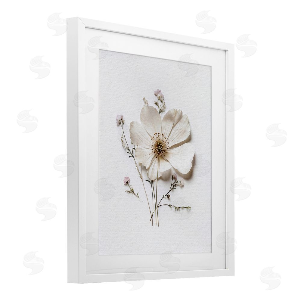 Lettered and Lined Simple Pressed Cottage Flower White Framed Print Under Glass Wall Art