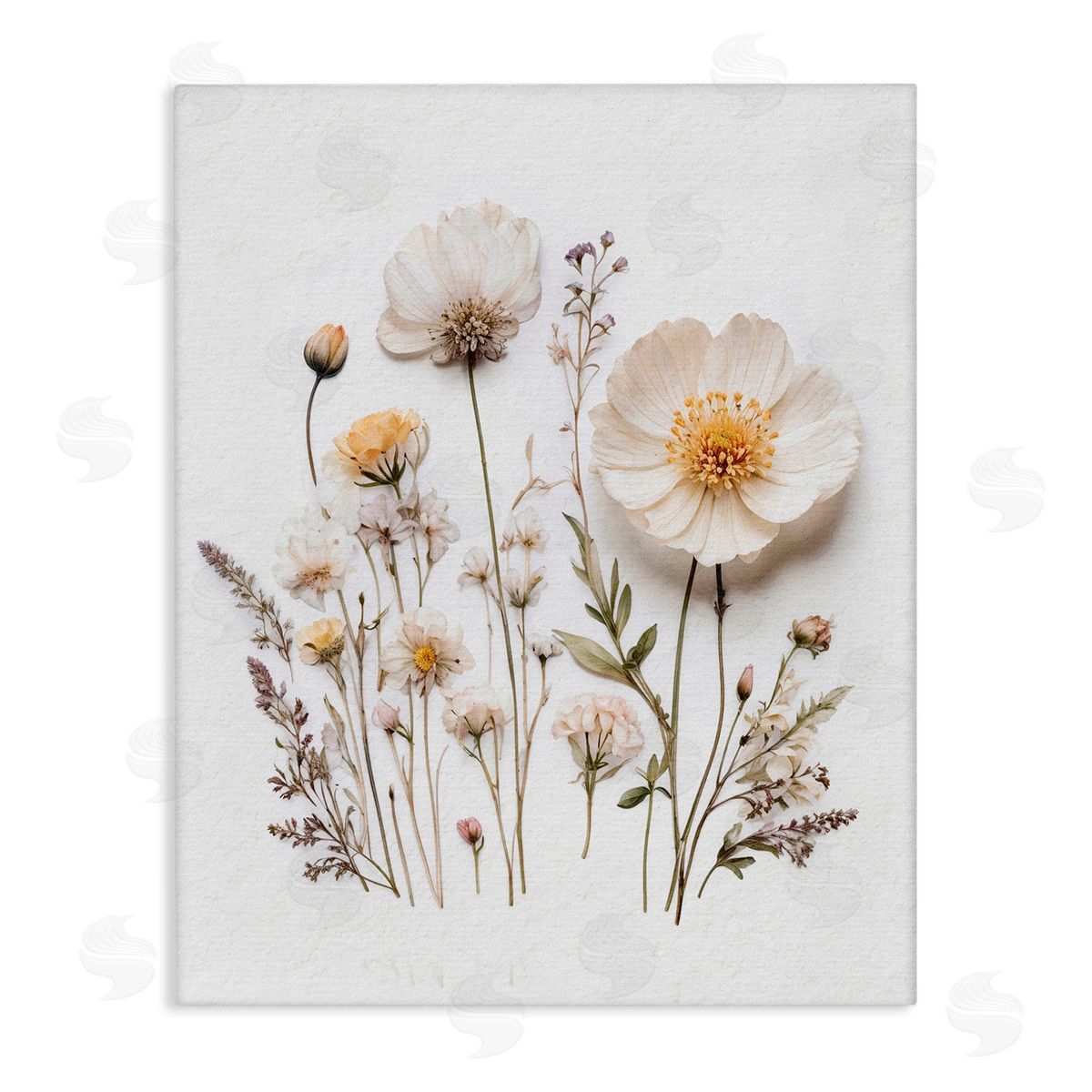 Lettered and Lined Pressed Bathroom Botanicals Stretched Canvas Wall Art Print