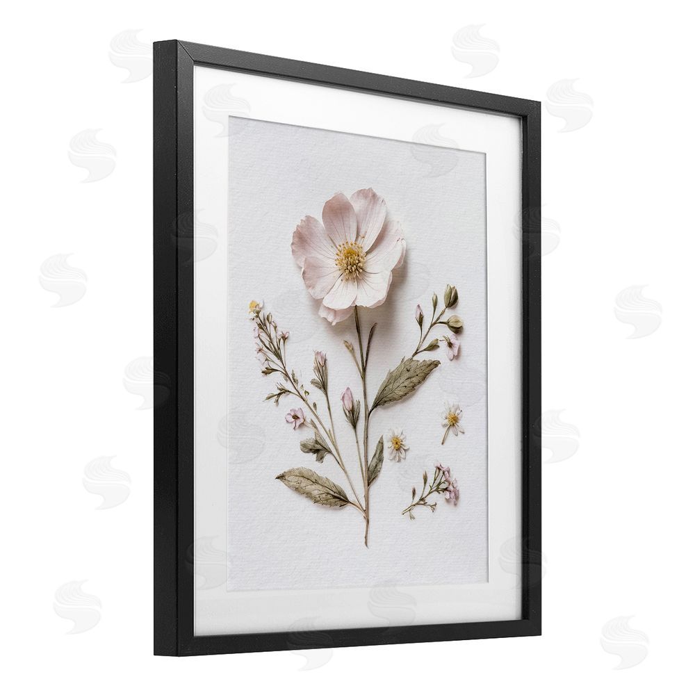 Lettered and Lined Pressed Wild Flowers Black Framed Print Under Glass Wall Art