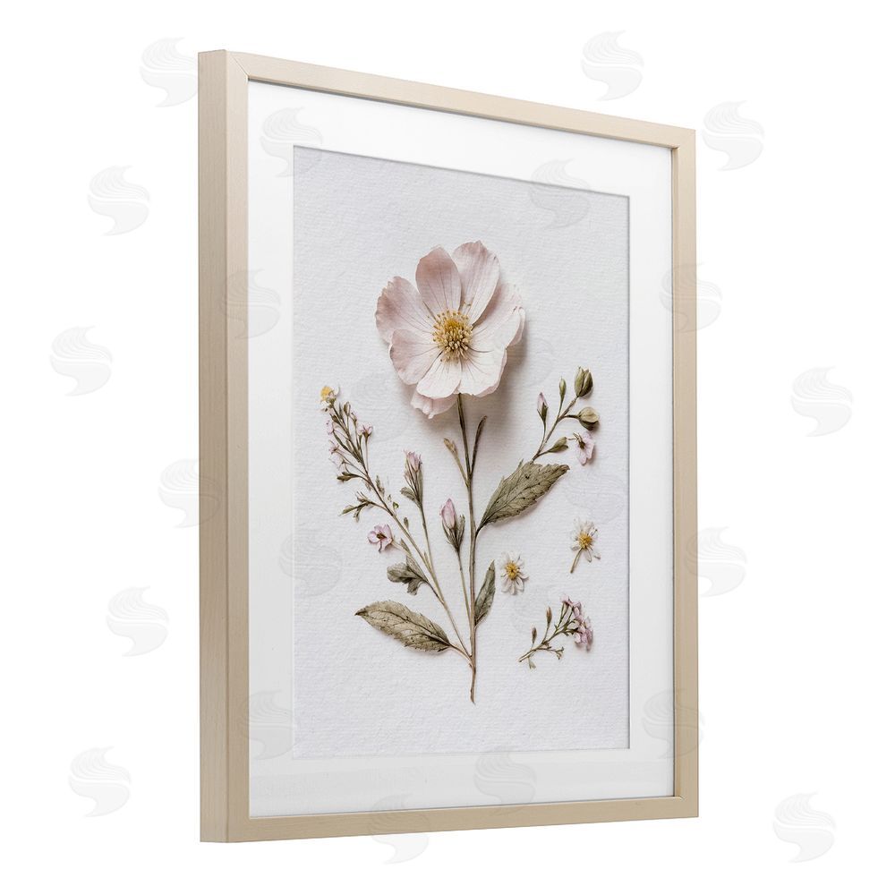 Lettered and Lined Pressed Wild Flowers Brown Framed Print Under Glass Wall Art