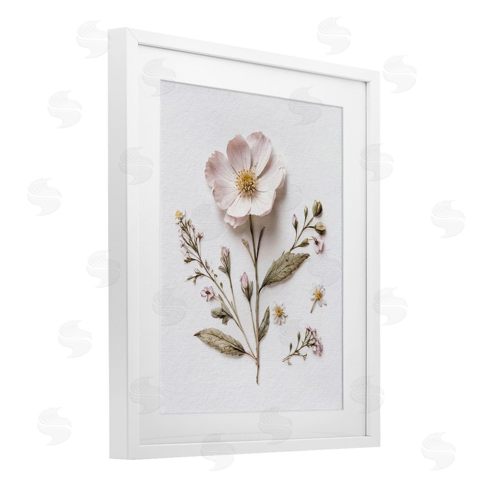 Lettered and Lined Pressed Wild Flowers White Framed Print Under Glass Wall Art