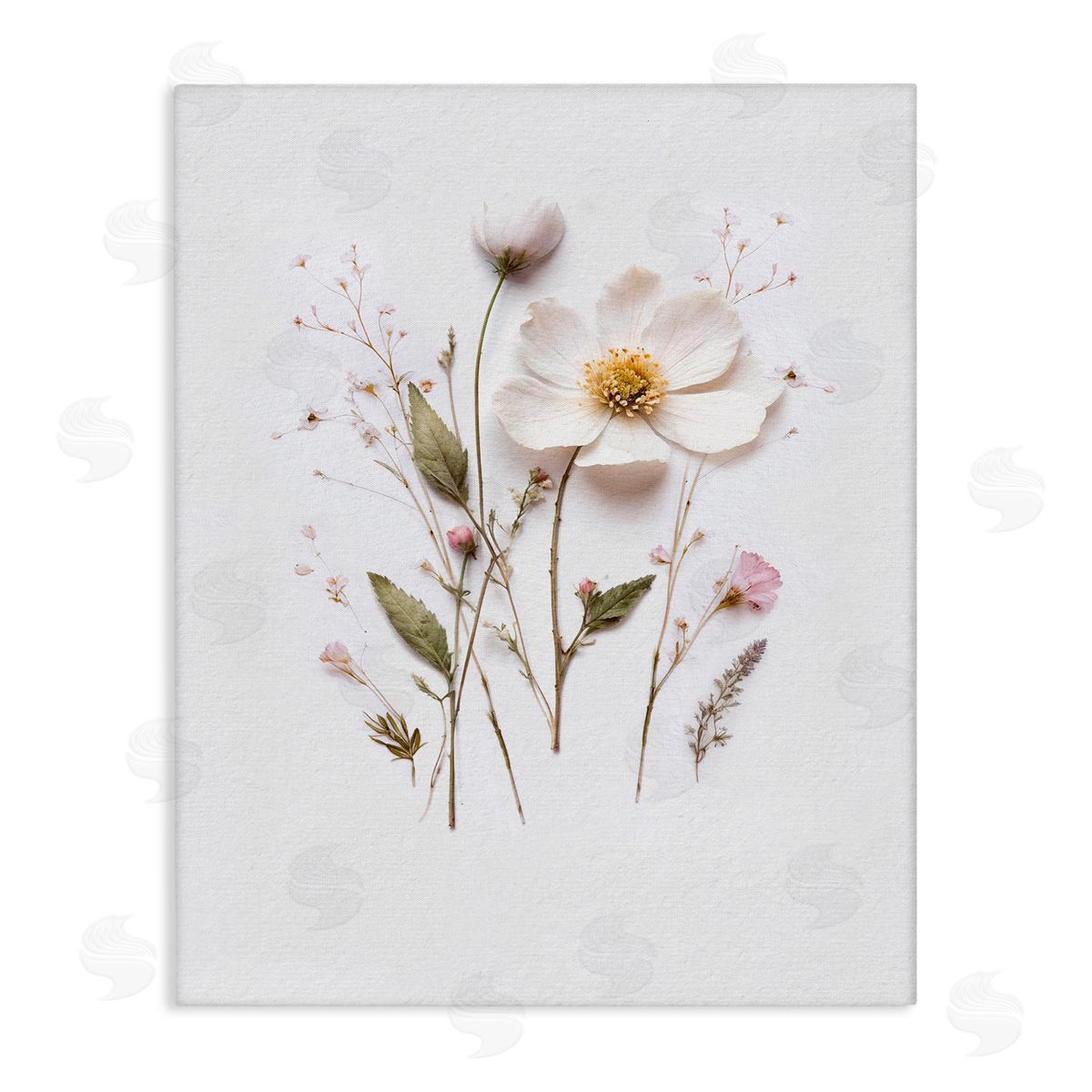 Lettered and Lined Delicate Pressed Flower Sprigs Stretched Canvas Wall Art Print