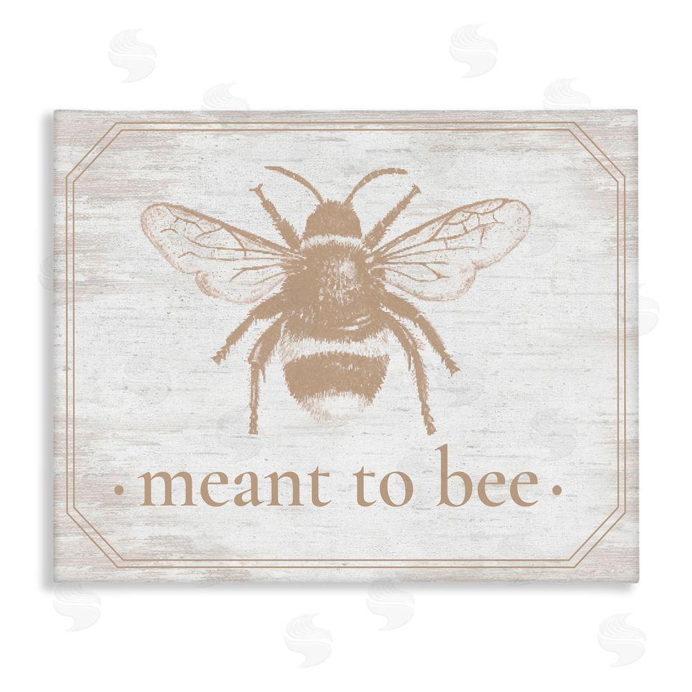 Lettered and Lined Meant To Bee Rustic Border Stretched Canvas Wall Art Print