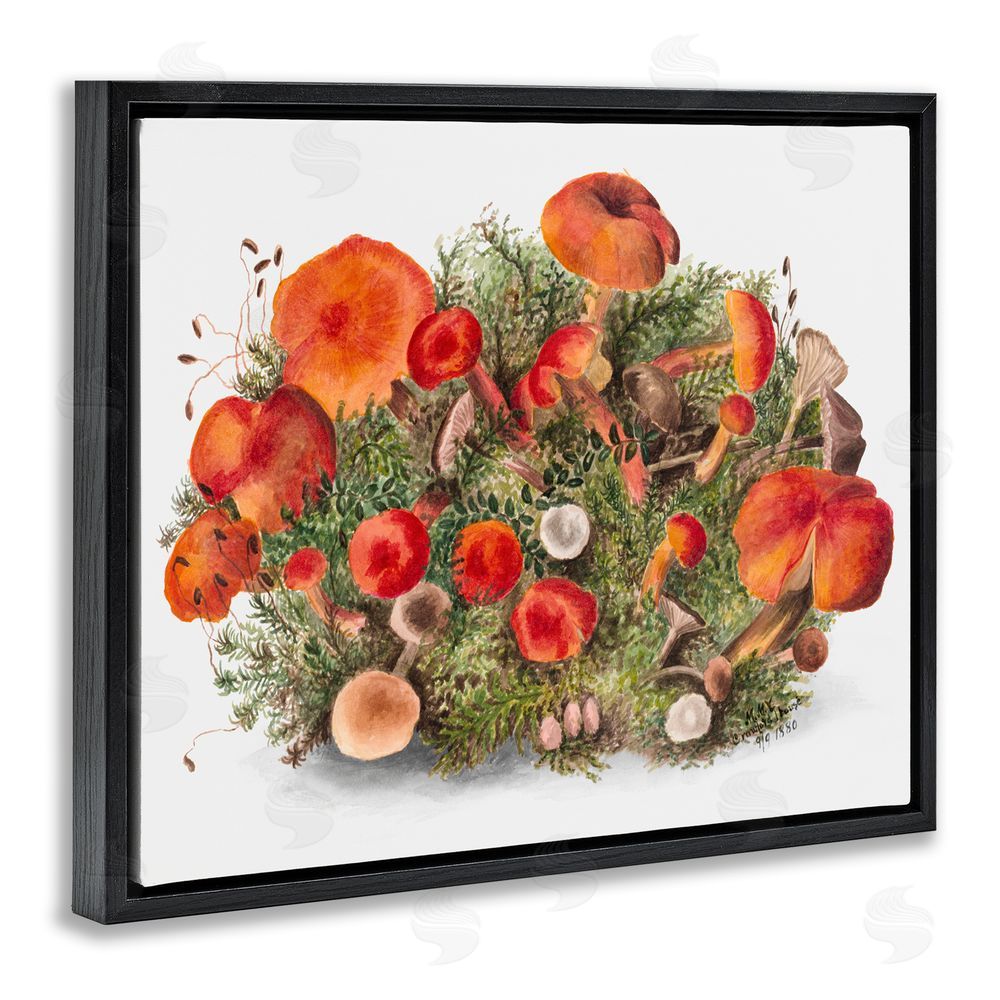 Lettered and Lined Earthy Mushroom Caps Nature Black Floating Frame Canvas Wall Art Print