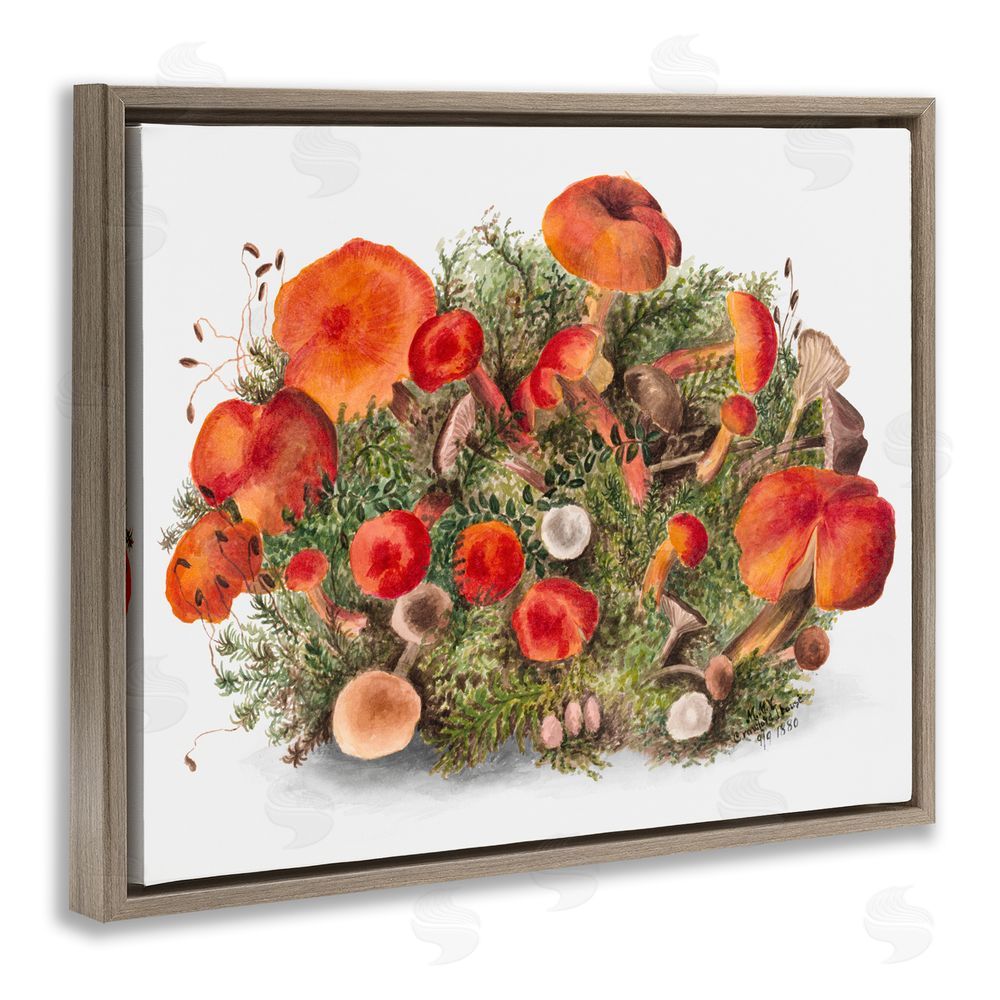 Lettered and Lined Earthy Mushroom Caps Nature Brown Floating Frame Canvas Wall Art Print
