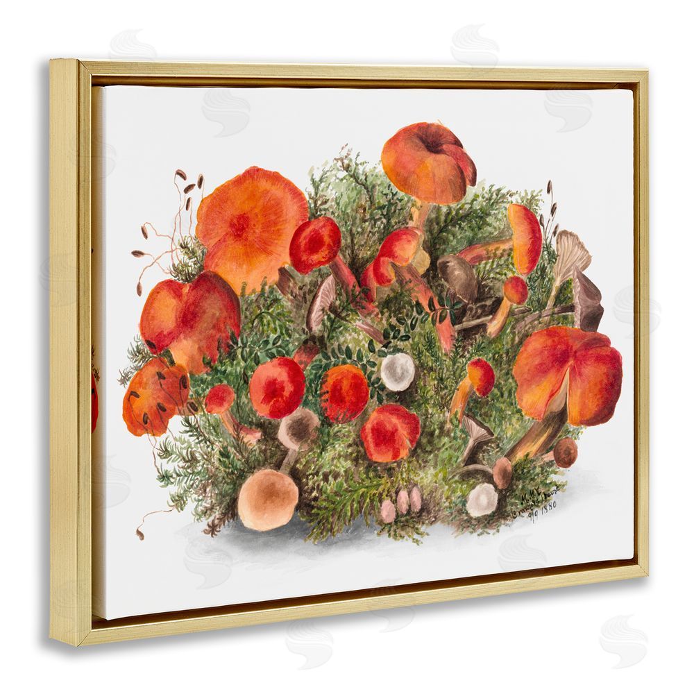 Lettered and Lined Earthy Mushroom Caps Nature Gold Floating Frame Canvas Wall Art Print