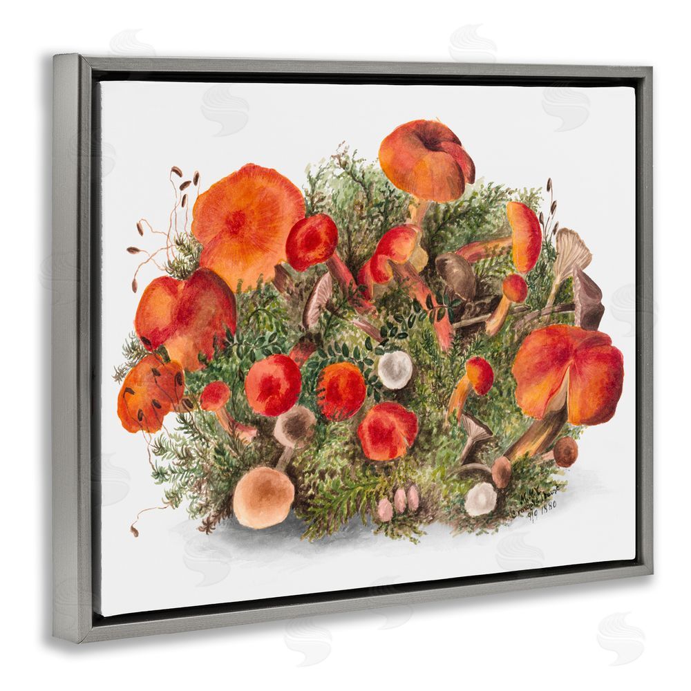 Lettered and Lined Earthy Mushroom Caps Nature Gray Floating Frame Canvas Wall Art Print