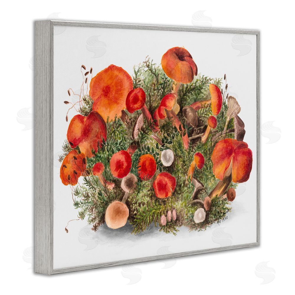 Lettered and Lined Earthy Mushroom Caps Nature Gray Framed Giclee Wall Art Print
