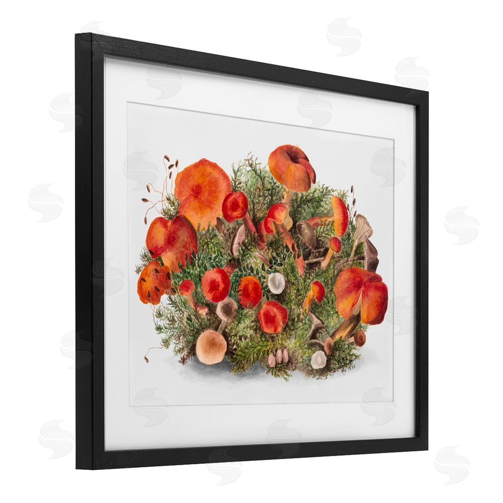 Lettered and Lined Earthy Mushroom Caps Nature Black Framed Print Under Glass with White Mat Wall Art