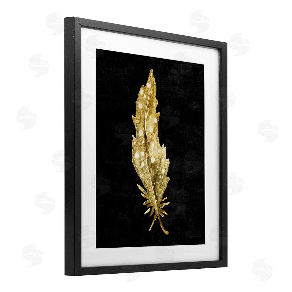 Kim Allen Feather On Black Black Framed Print Under Glass Wall Art