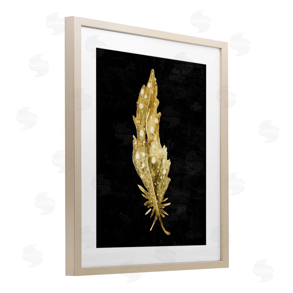 Kim Allen Feather On Black Brown Framed Print Under Glass Wall Art