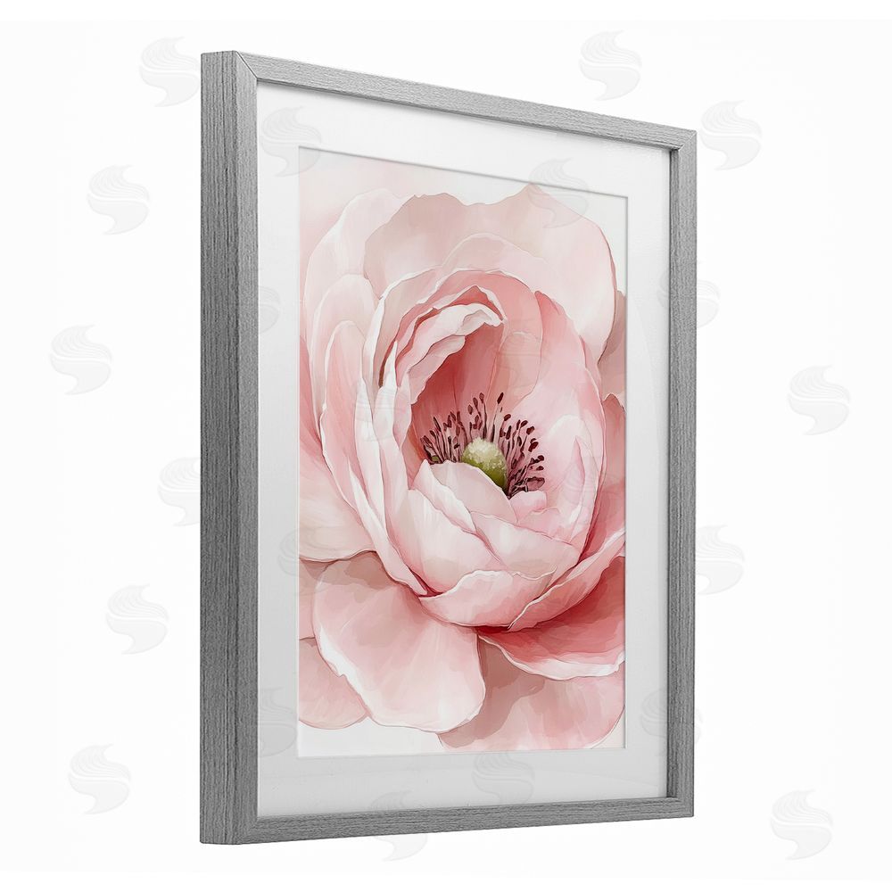Christine Simpson Art Fresh Rosy Close Up Petals Gray Framed Print Under Glass Wall Art