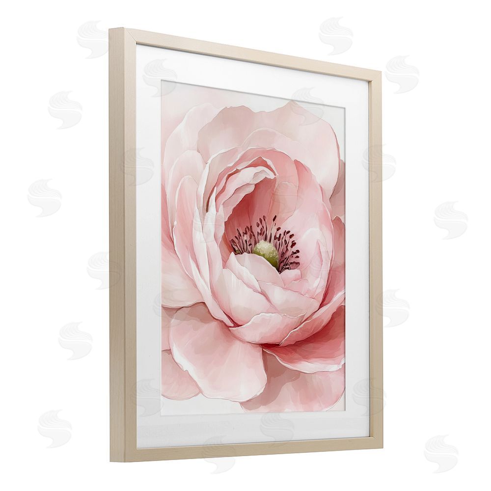Christine Simpson Art Fresh Rosy Close Up Petals Brown Framed Print Under Glass Wall Art