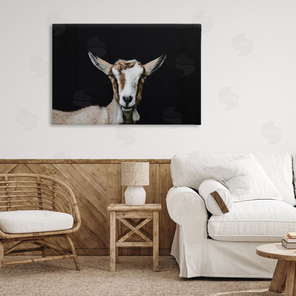Amy Carroll Goat Face over Black Stretched Canvas Wall Art Print in Room