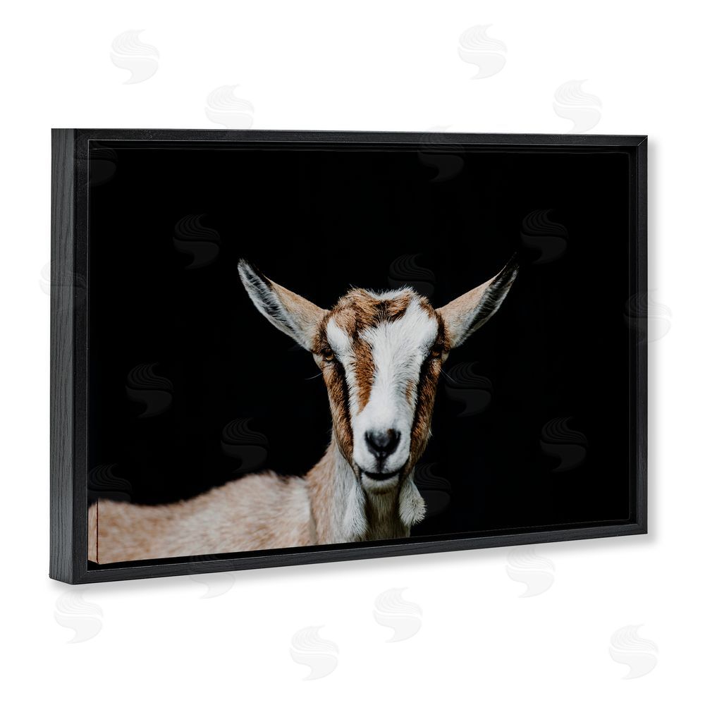 Amy Carroll Goat Face over Black Black Floating Frame Canvas Wall Art Print