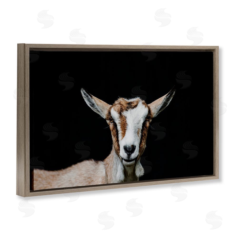 Amy Carroll Goat Face over Black Brown Floating Frame Canvas Wall Art Print