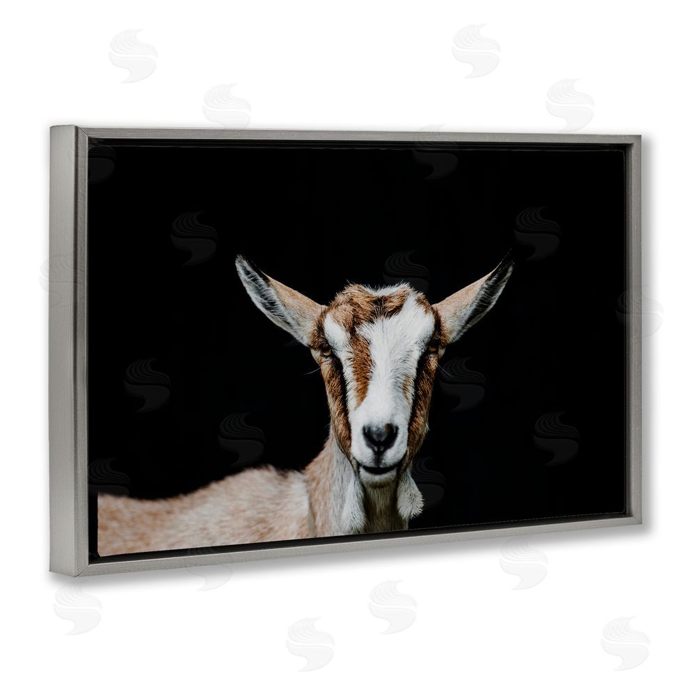 Amy Carroll Goat Face over Black Gray Floating Frame Canvas Wall Art Print