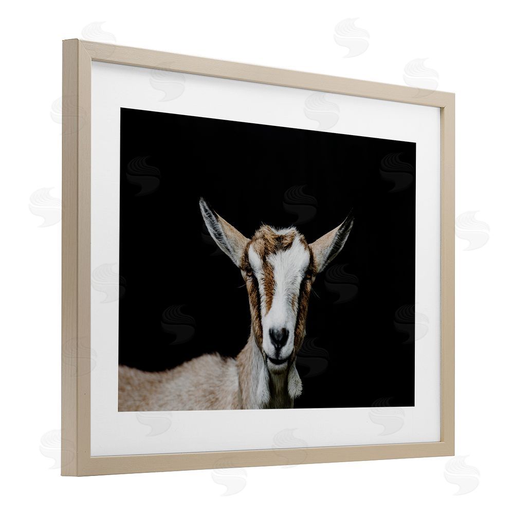Amy Carroll Goat Face over Black Brown Framed Print Under Glass Wall Art