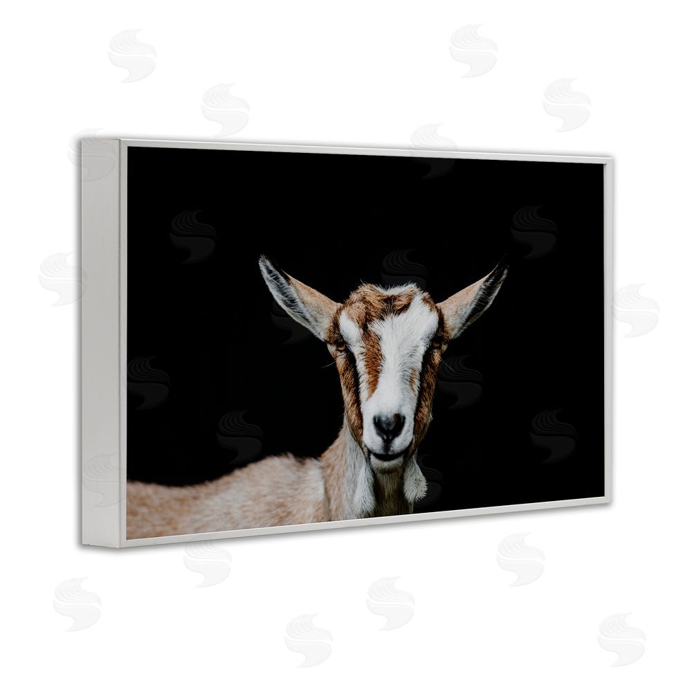 Amy Carroll Goat Face over Black White Framed Giclee Print Wall Art