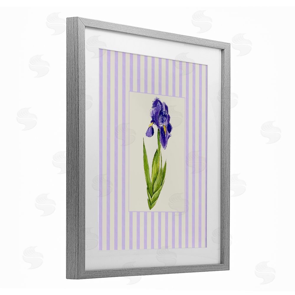 Lisa Wehmeyer Purple Stripe Iris Gray Framed Print Under Glass Wall Art