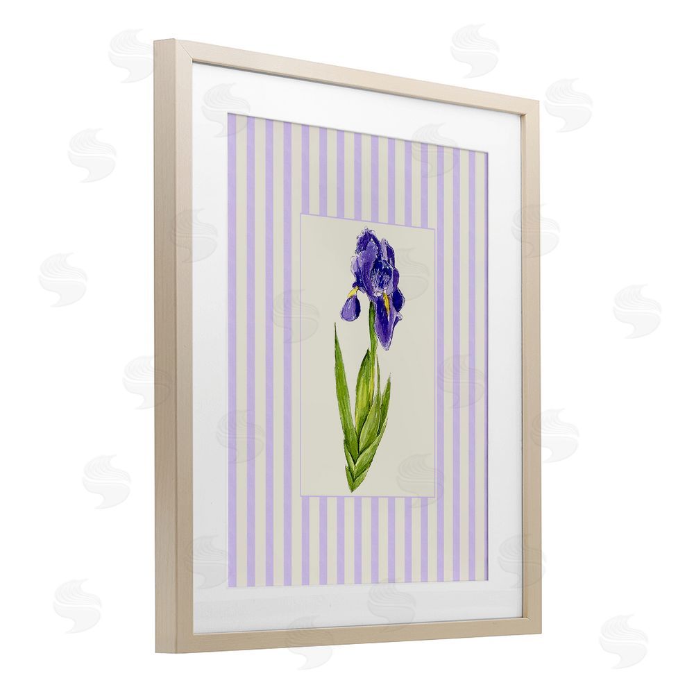 Lisa Wehmeyer Purple Stripe Iris Brown Framed Print Under Glass Wall Art